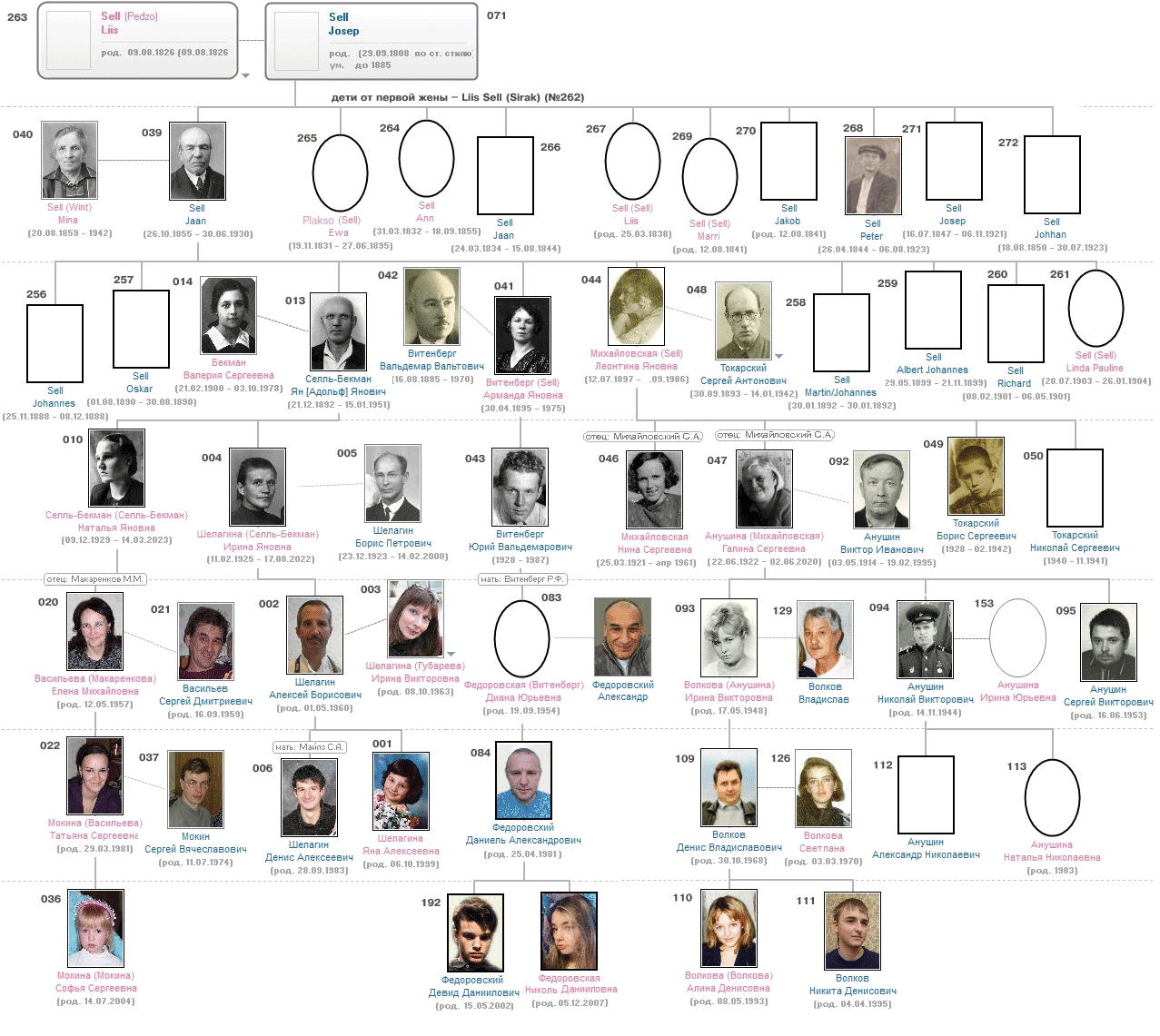 ������� ����� Sell - Wint