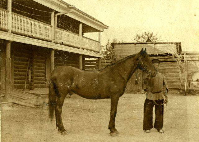 1905 �. � ������ ��������� - ������ ����� �����������