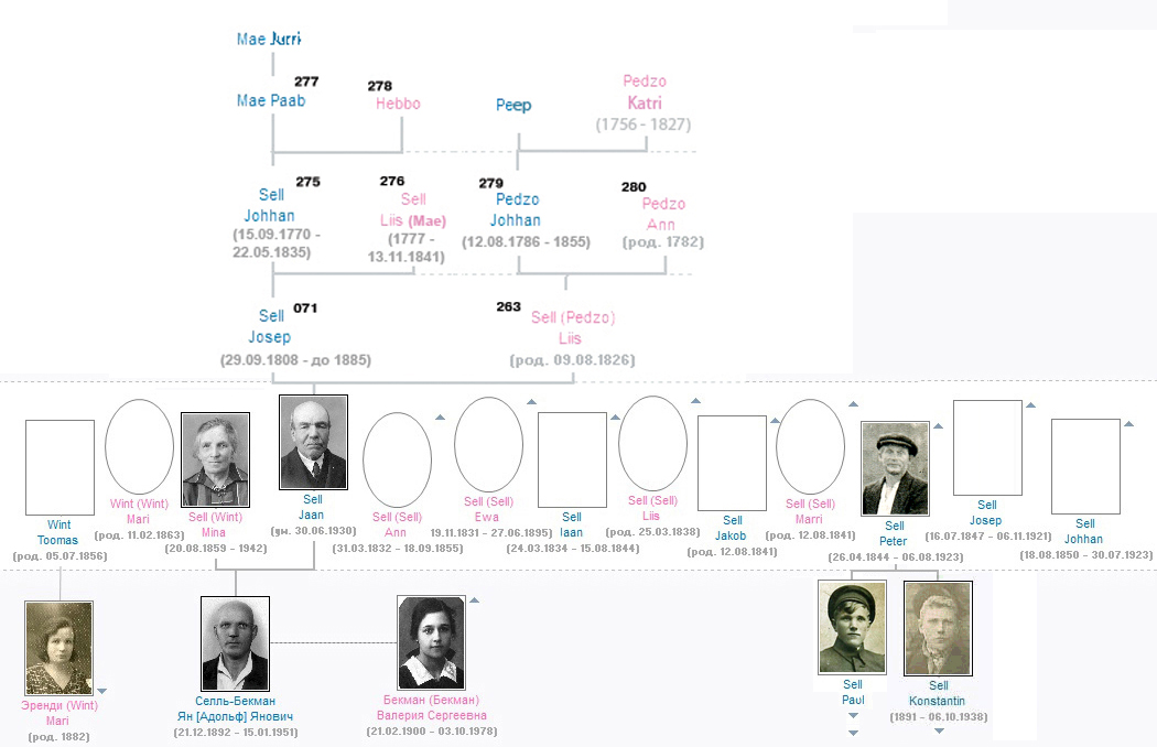 ������� ����� Sell - Wint